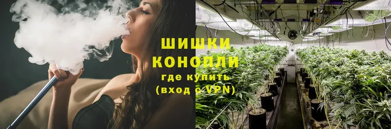 купить наркоту  Старая Купавна  Шишки марихуана White Widow 